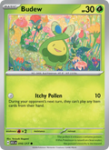 Budew 016/217 — Ascended Heroes