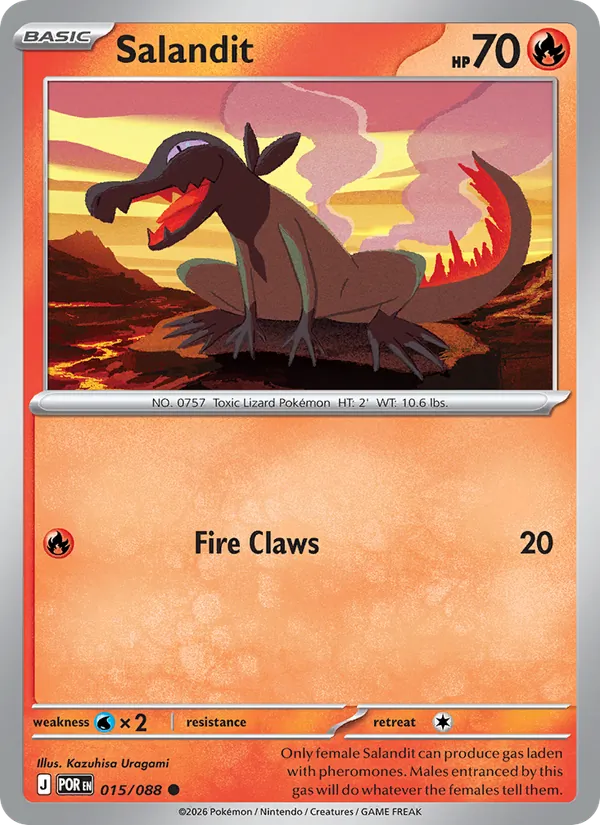Salandit 015/88 — Perfect Order