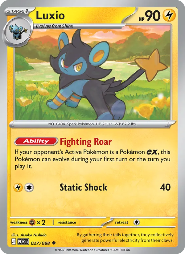 Luxio 027/88 — Perfect Order