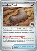 Antique Jaw Fossil 068/88 — Perfect Order