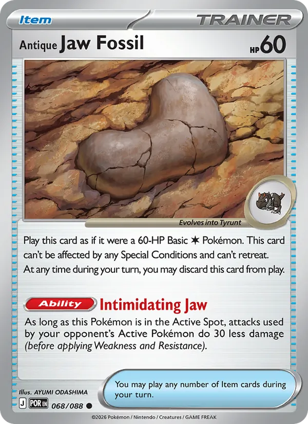 Antique Jaw Fossil 068/88 — Perfect Order