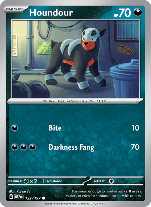 Obsidian Flames 132