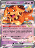 Dachsbun ex 067/142 — Stellar Crown
