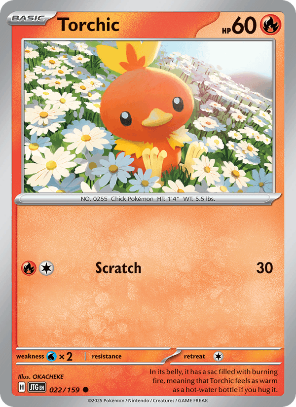 022/159 — Torchic — Journey Together